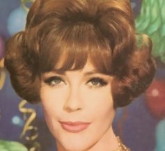 1960s Hairstyles 1960s Bouffant Hairstyle