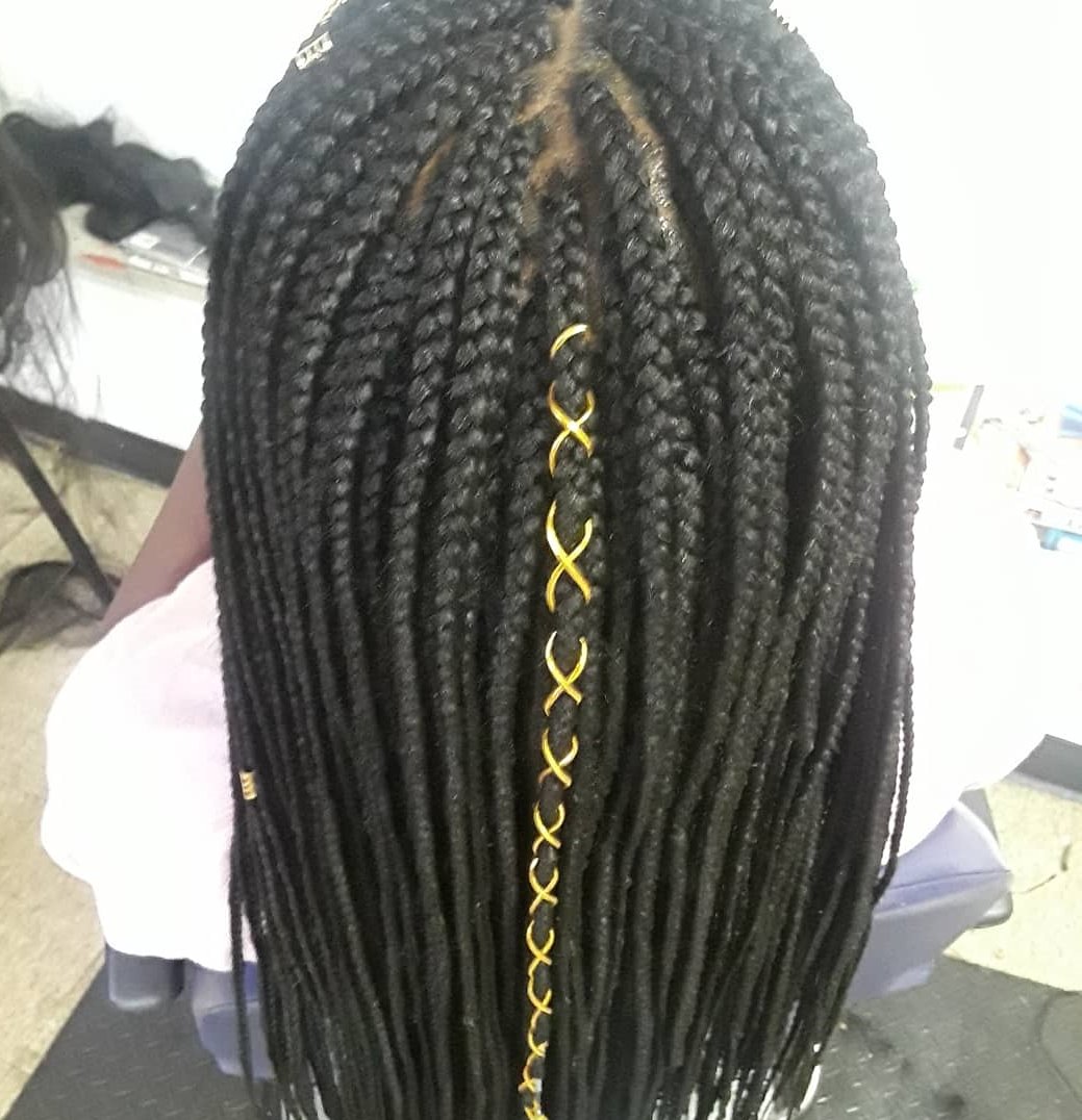 Box Braids with Ribbon Accent on Medium Length Hair back view